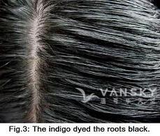 240404134601_Hair-Dyed with indigo-s.jpg